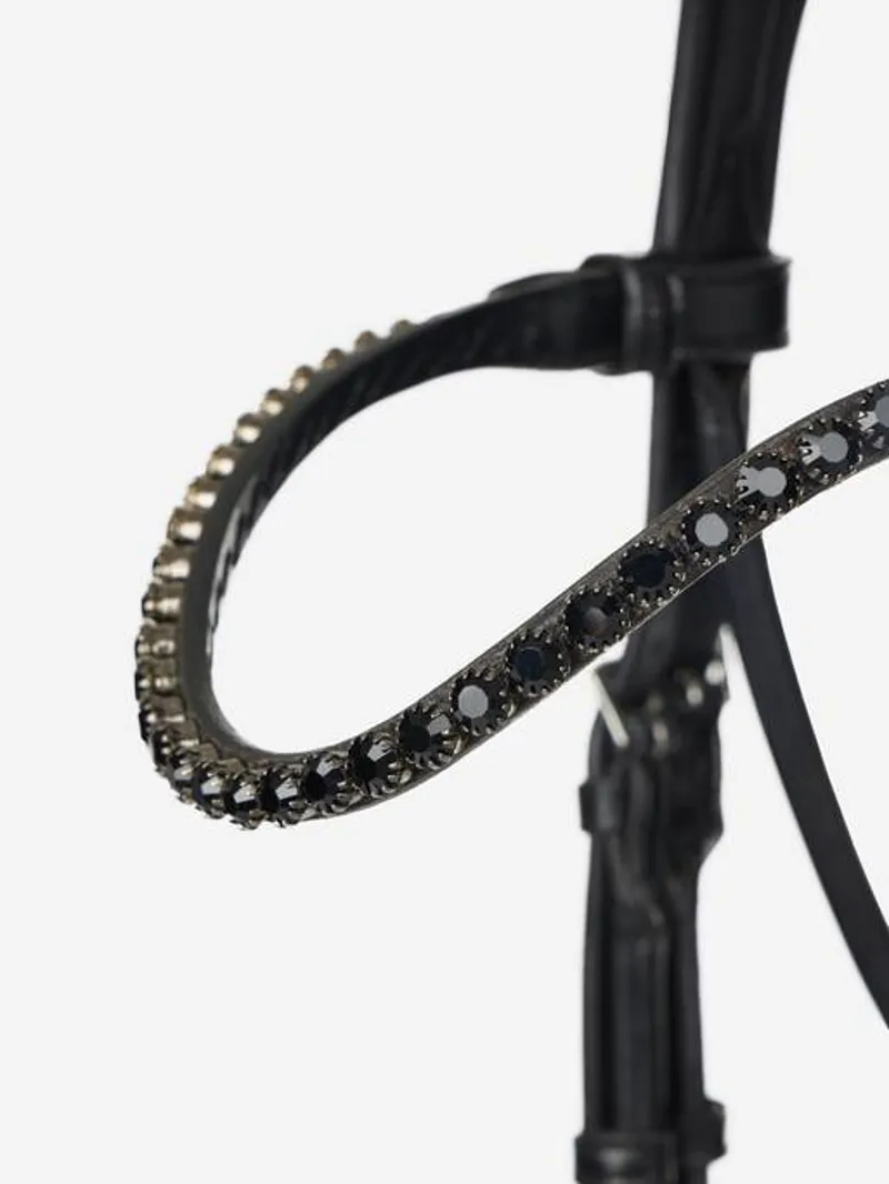 LeMieux Kudos Patent Dressage Bridle in Black-5