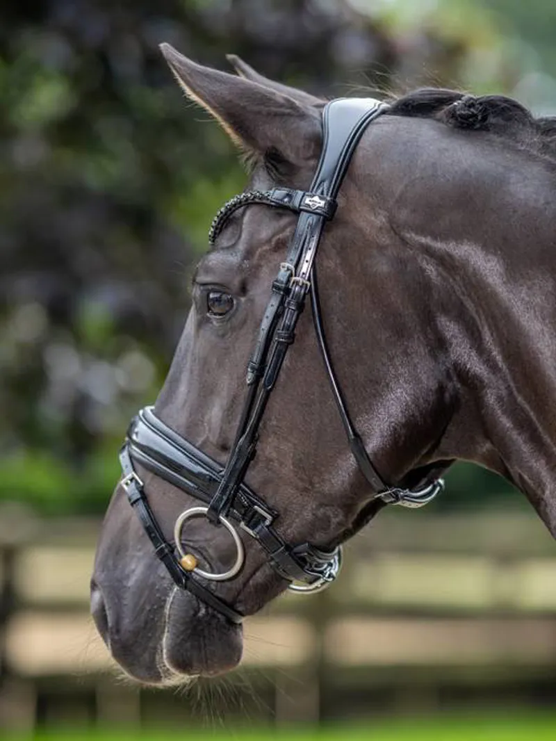 LeMieux Kudos Patent Dressage Bridle in Black-3
