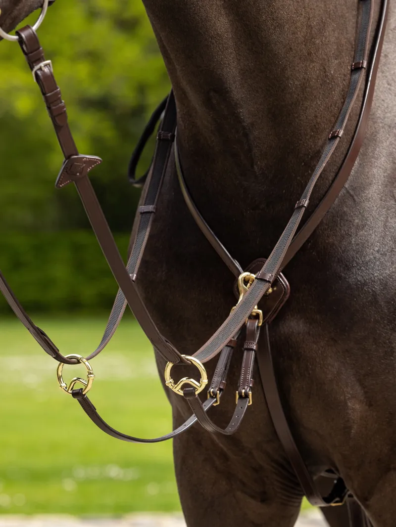 LeMieux Kudos Running Martingale in Brown and Brass-2