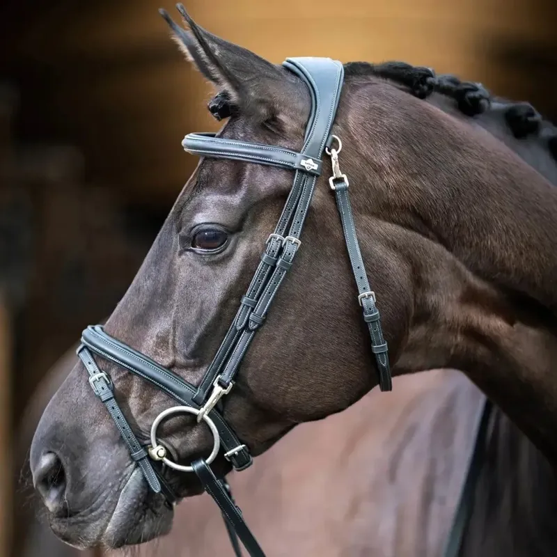 LeMieux Kudos Work Bridle in Black-2