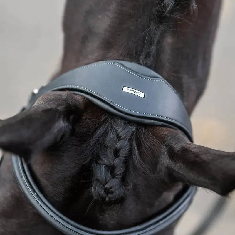 LeMieux Kudos Work Bridle in Black-3