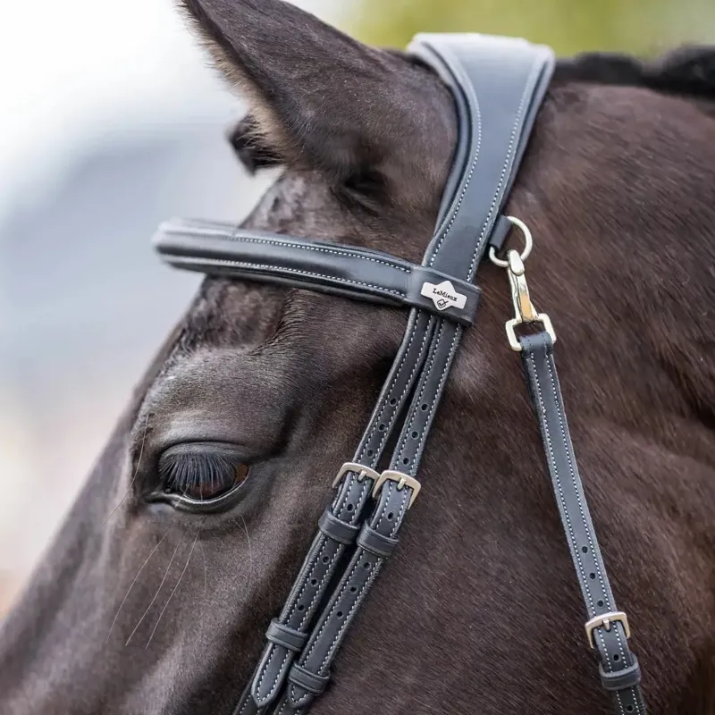 LeMieux Kudos Work Bridle in Black-4
