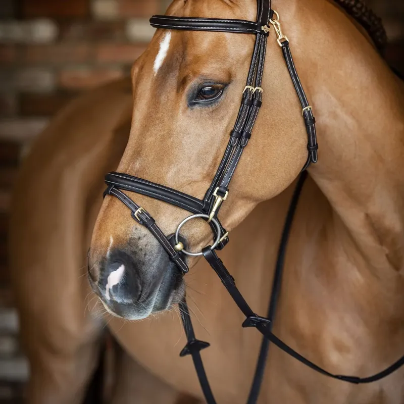 LeMieux Kudos Work Bridle in Brown-2