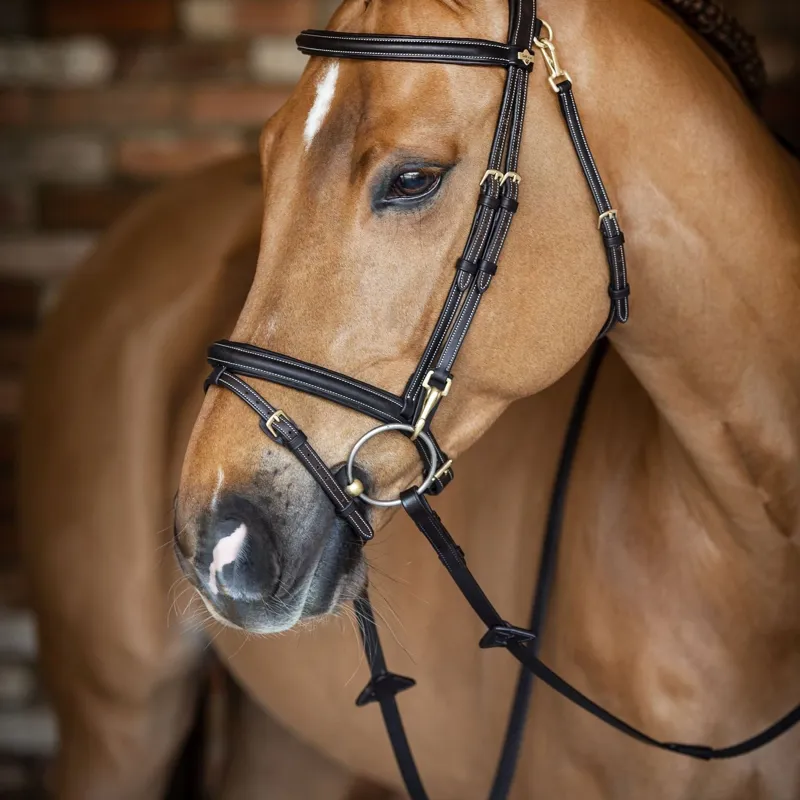 LeMieux Kudos Work Bridle in Brown-1