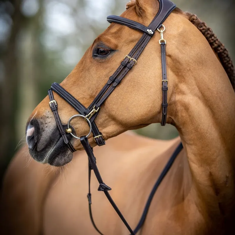 LeMieux Kudos Work Bridle in Brown-3