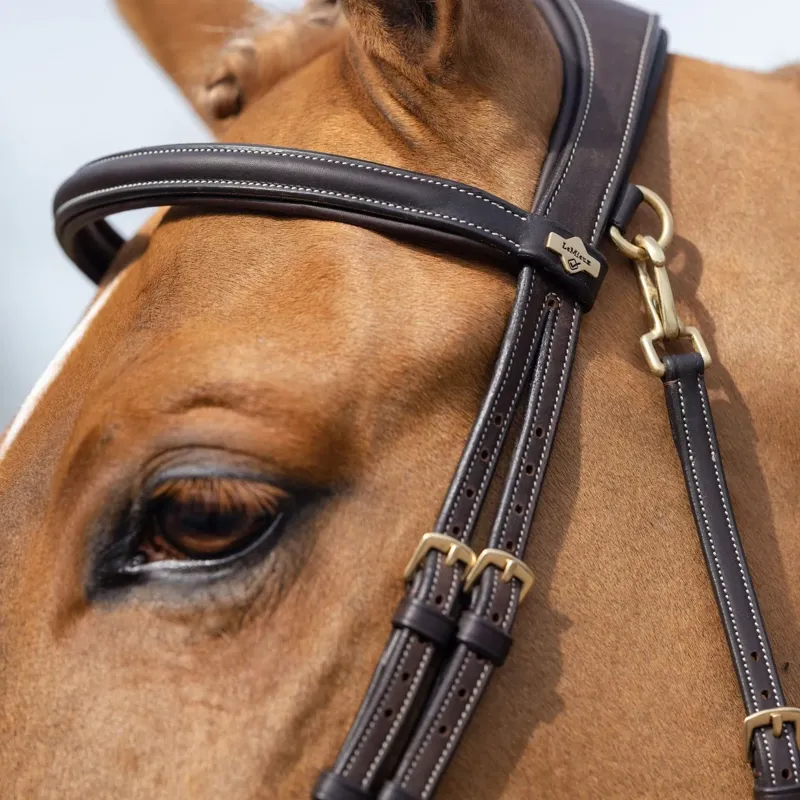 LeMieux Kudos Work Bridle in Brown-4