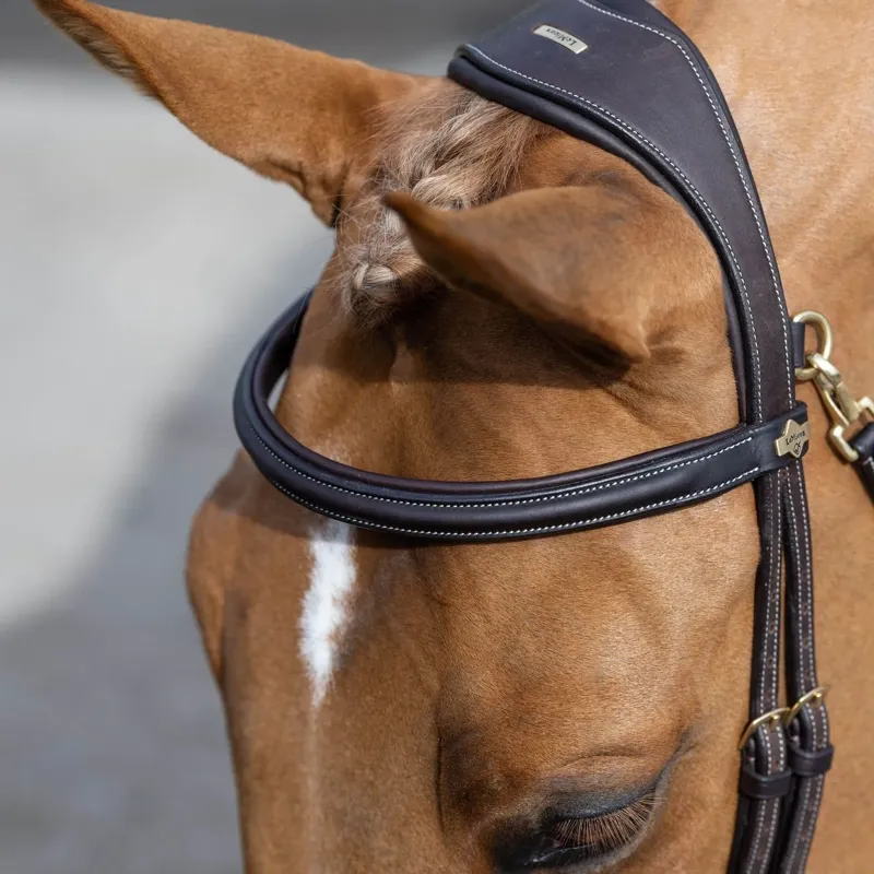 LeMieux Kudos Work Bridle in Brown-5
