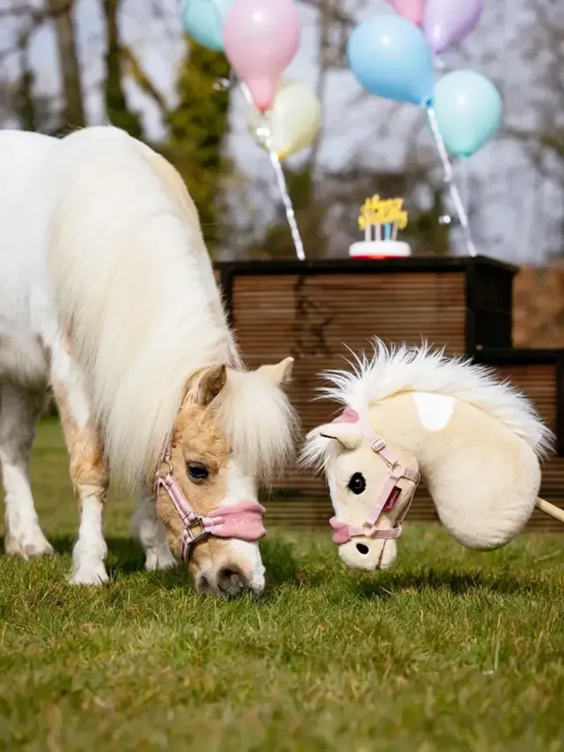 LeMieux Hobby Horse Lemon-2