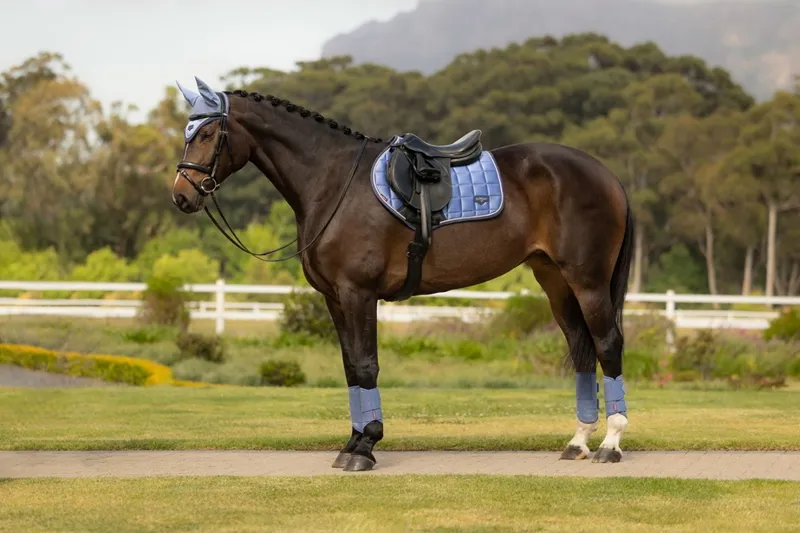 LeMieux Loire Classic Close Contact Square in Powder Blue-3