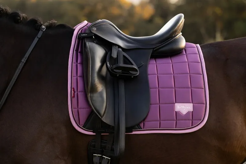 LeMieux Loire Classic Dressage Square in Mallow-5