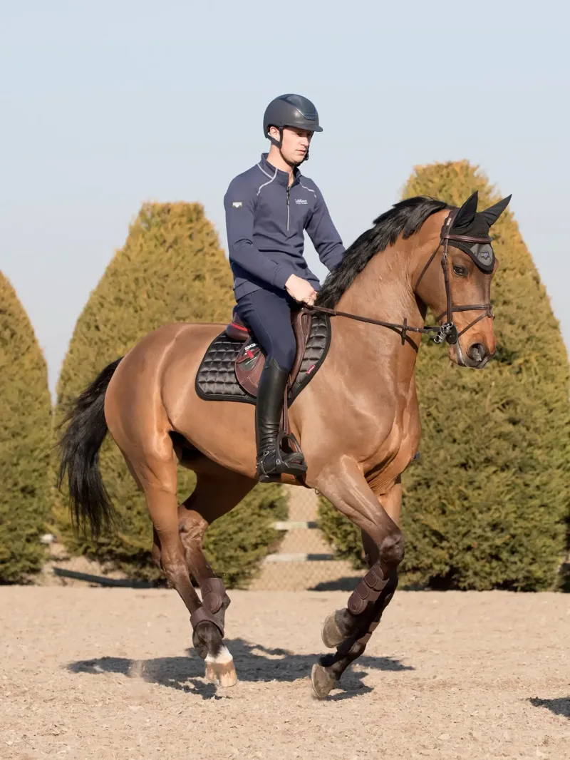 LeMieux Loire Close Contact Pad in Black-2