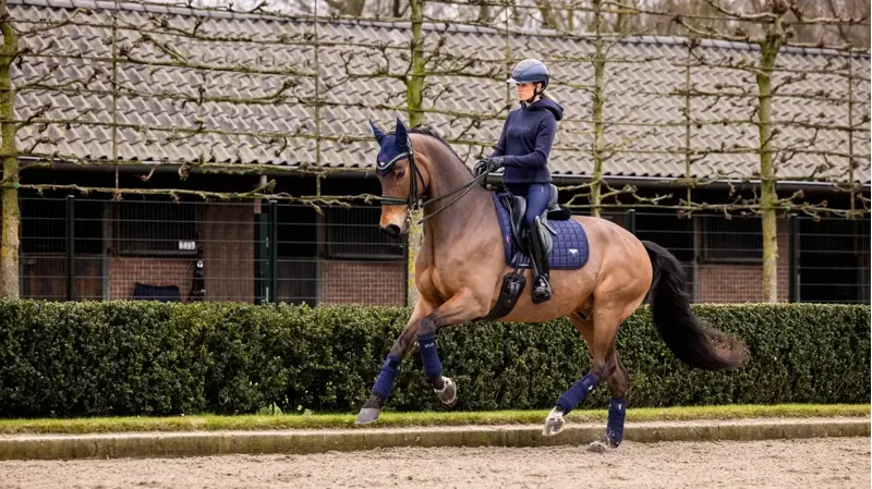 LeMieux Loire Dressage Square in Navy-2