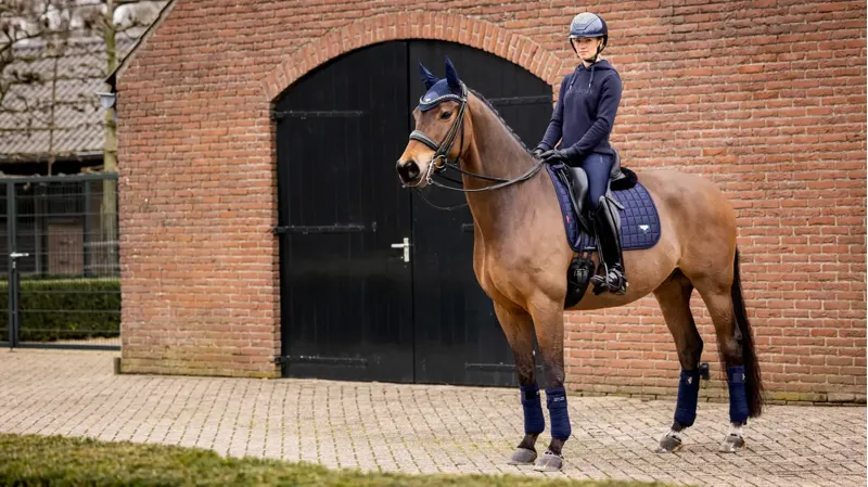 LeMieux Loire Dressage Square in Navy-2