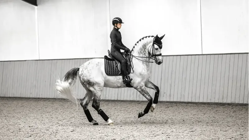 LeMieux Loire Dressage Square in Black-2