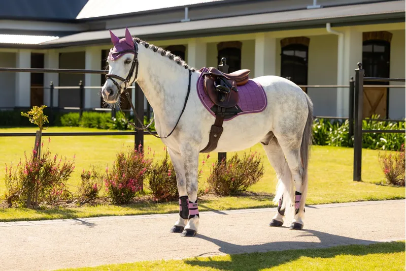 LeMieux Mini Suede Close Contact Square in Mallow-3