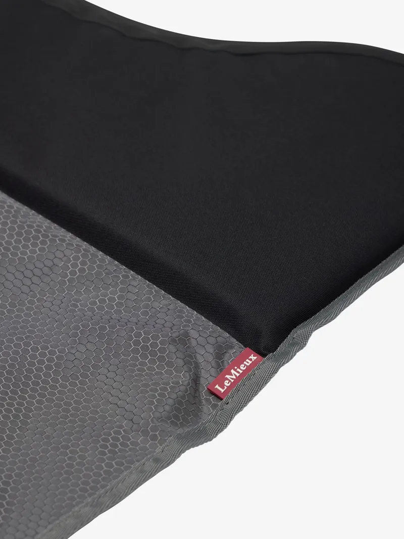 LeMieux Pro Stable Guard in Black-4