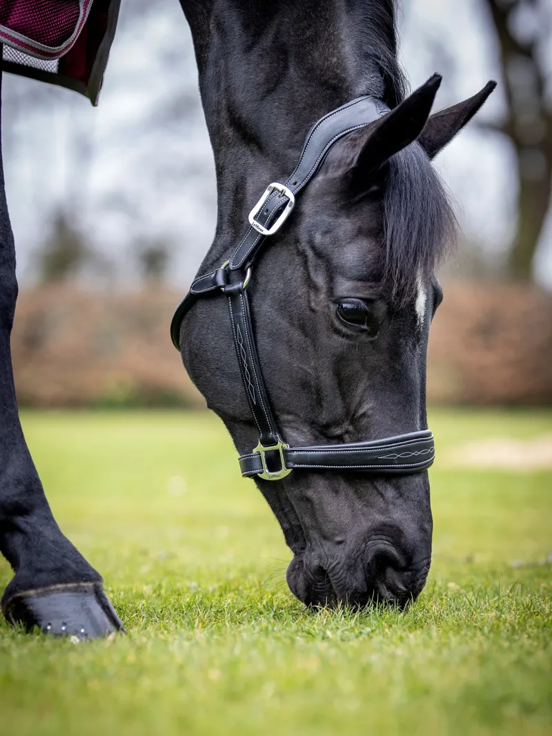 LeMieux Stitched Leather Headcollar in Black-5