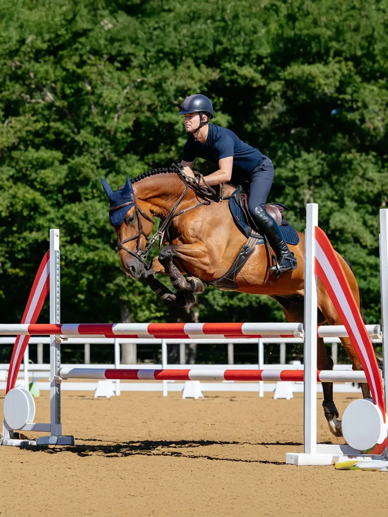 LeMieux Close Contact Suede Pad in Navy-1