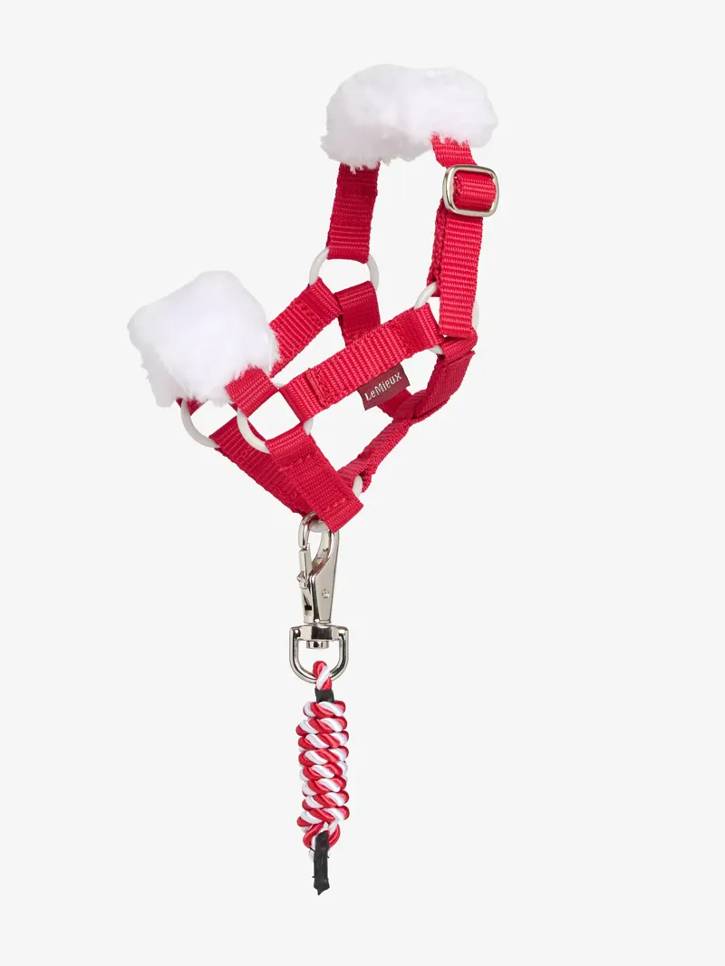 LeMieux Toy Pony Christmas Headcollar and Leadrope in Red