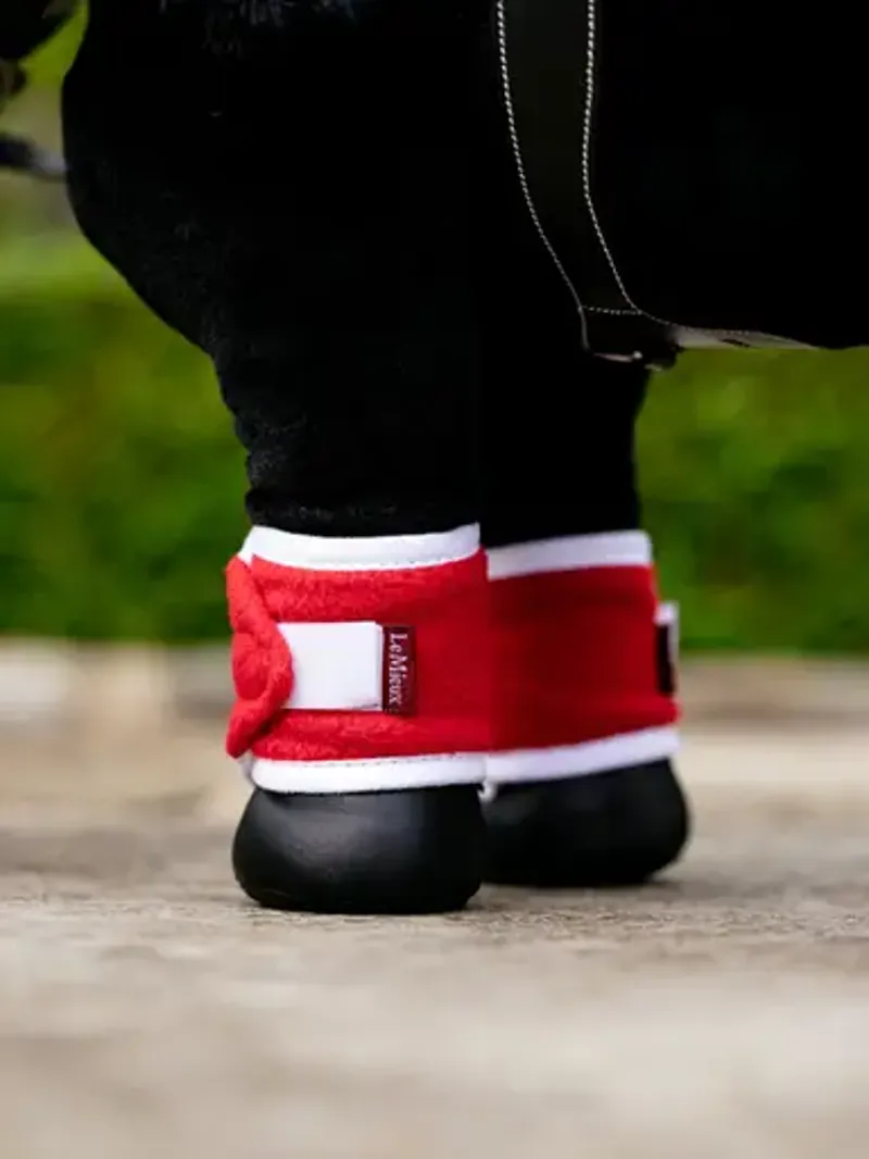 LeMieux Toy Pony Christmas Set in Chilli-3