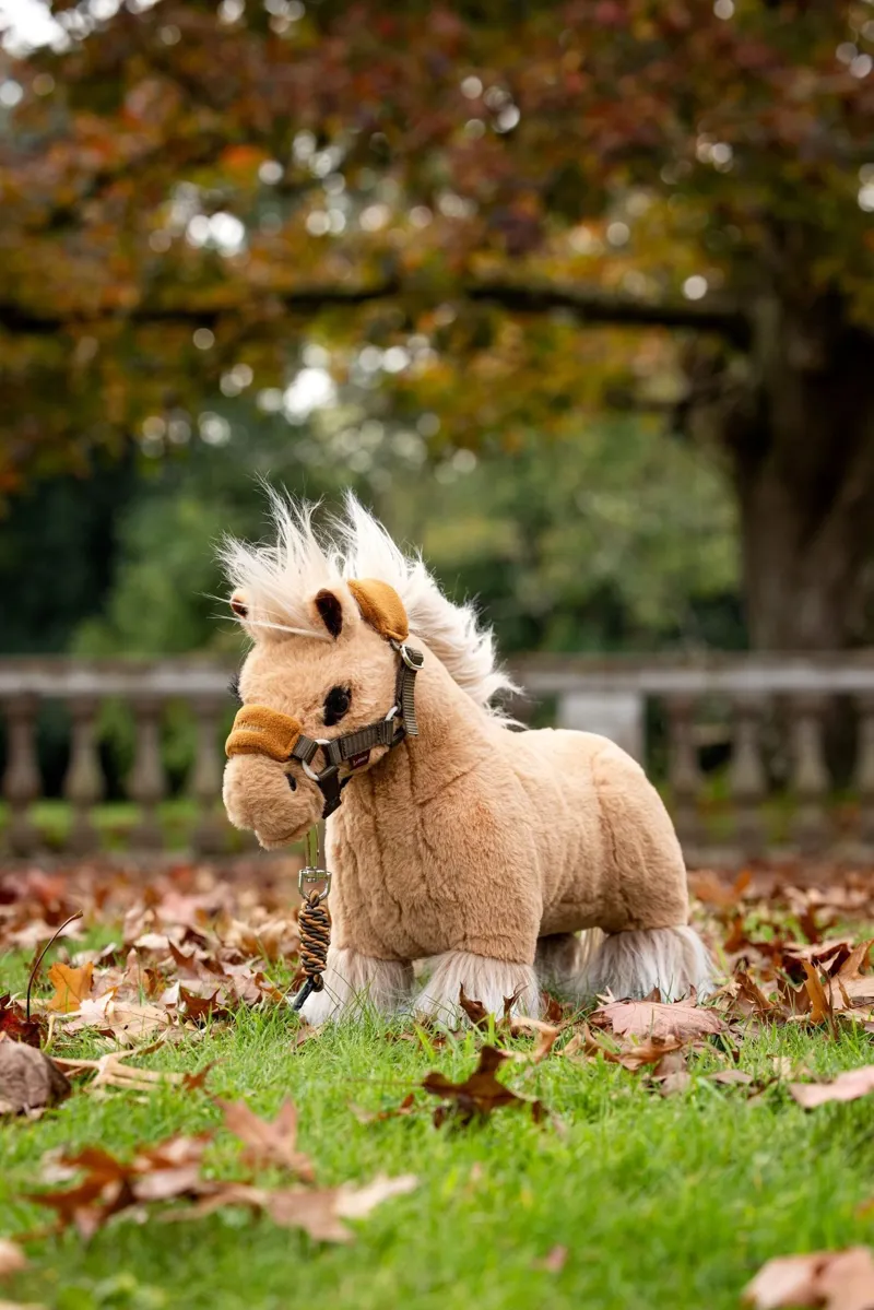 LeMieux Toy Pony Cloudy-2