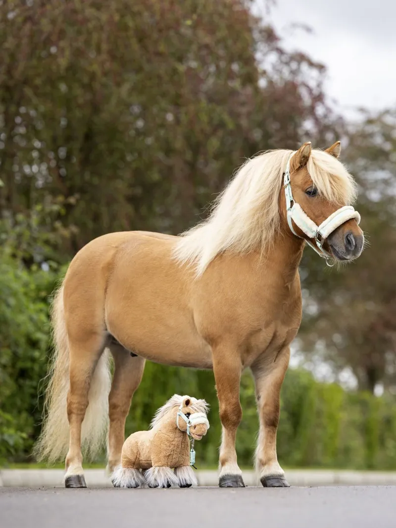 LeMieux Toy Pony Cloudy-5