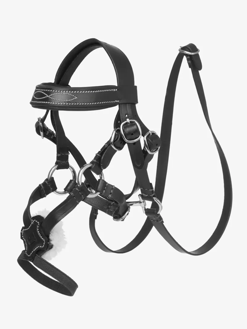 LeMieux Toy Pony Grackle Bridle in Black