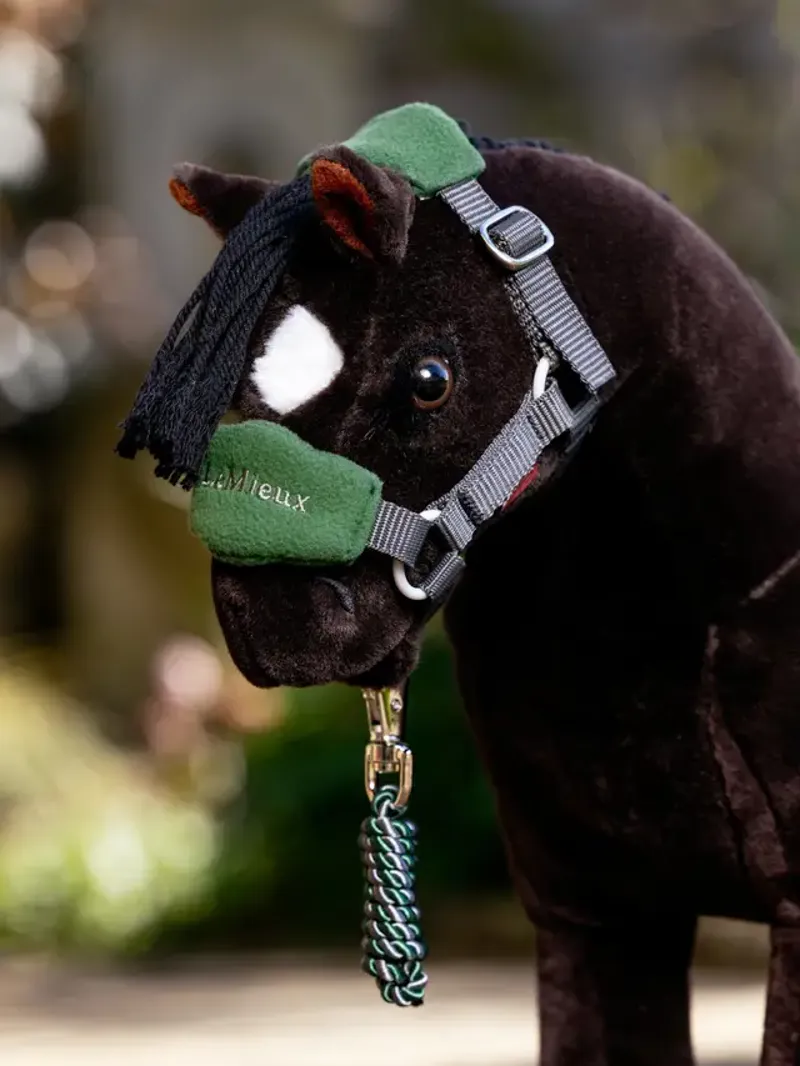 LeMieux Toy Pony Vogue Headcollar Set in Hunter Green-1