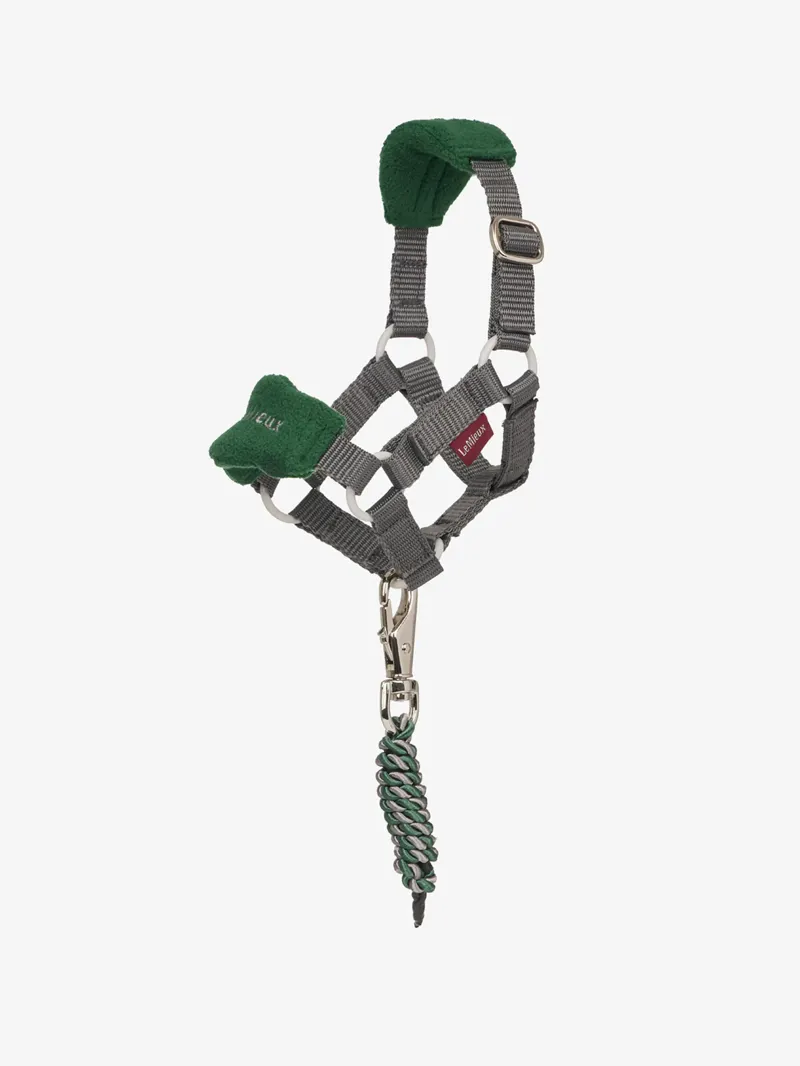 LeMieux Toy Pony Vogue Headcollar Set in Hunter Green