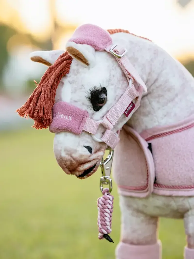 LeMieux Toy Pony Headcollar Set in Blossom-1