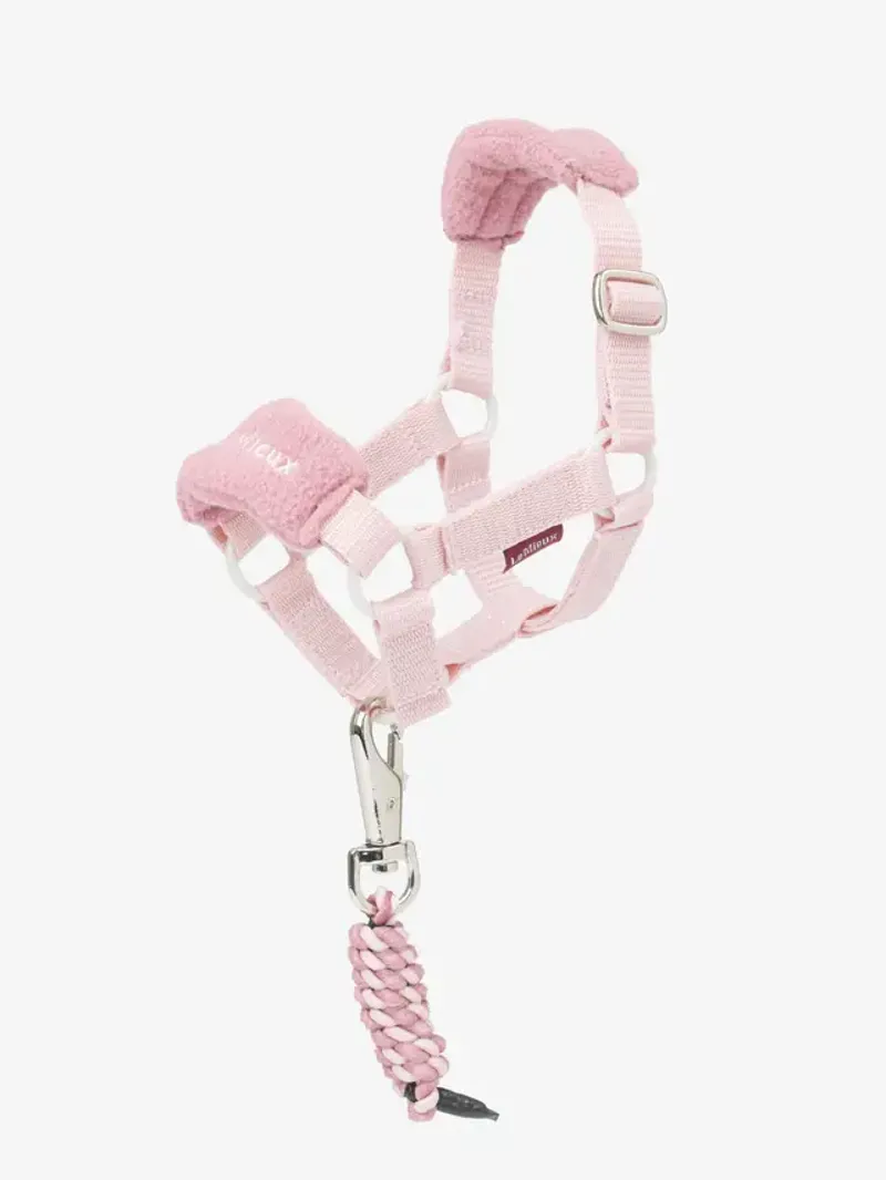 LeMieux Toy Pony Headcollar Set in Blossom