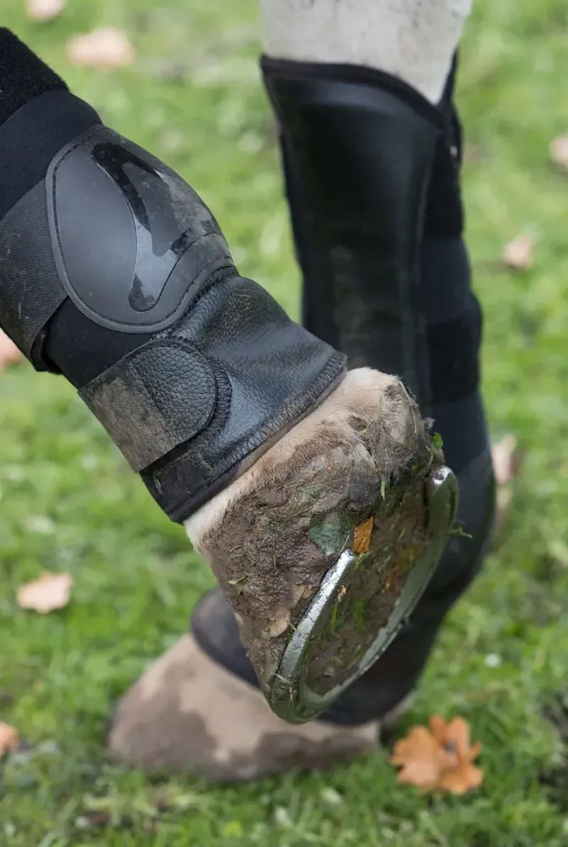 LeMieux Turnout Boots in Black-6