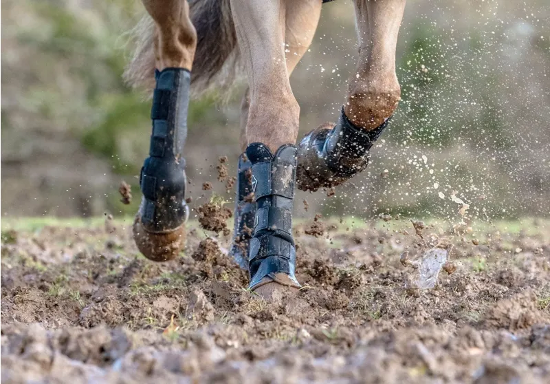LeMieux Turnout Boots in Black-8