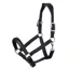 LeMieux Anatomic Headcollar in Black