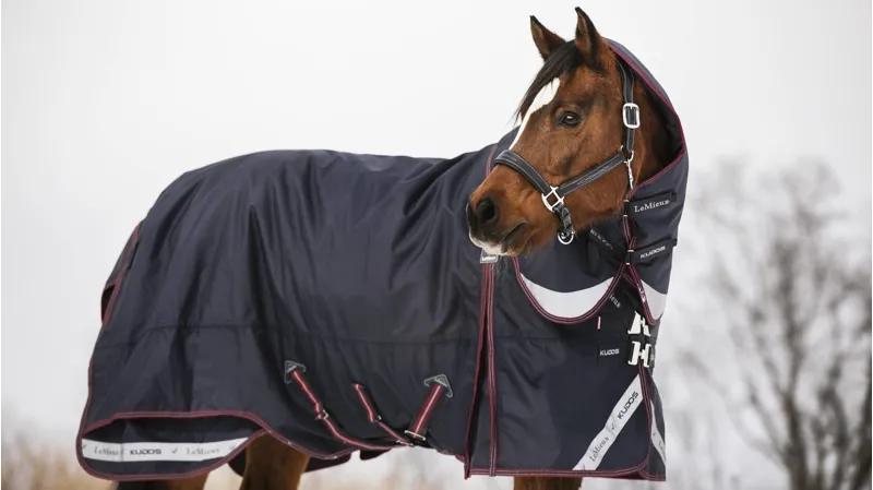 LeMieux Kudos Turnout Rug 200g in Navy-2