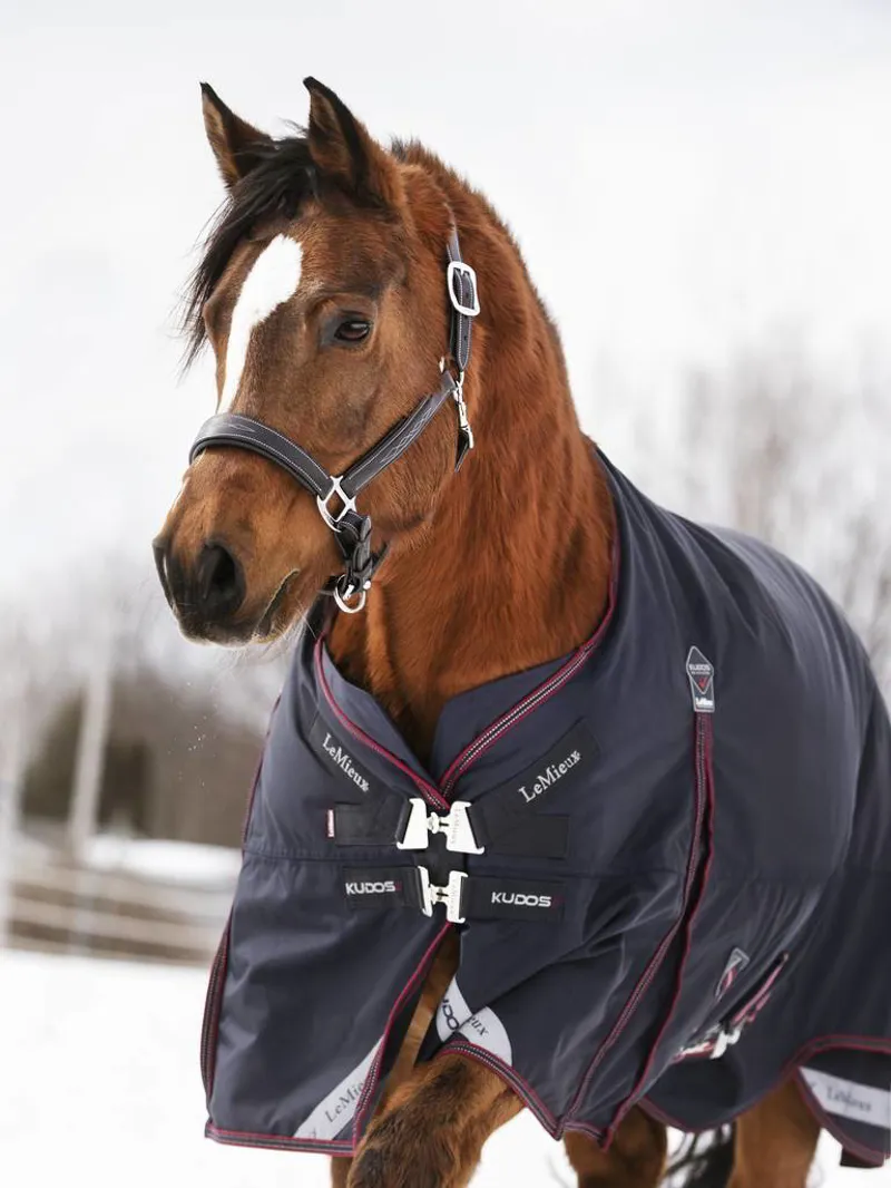 LeMieux Kudos Turnout Rug 200g in Navy-4