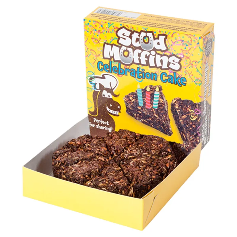 Stud Muffins Celebration Cake-1