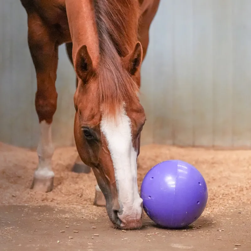 Likit Snak-a-Ball in Red -2