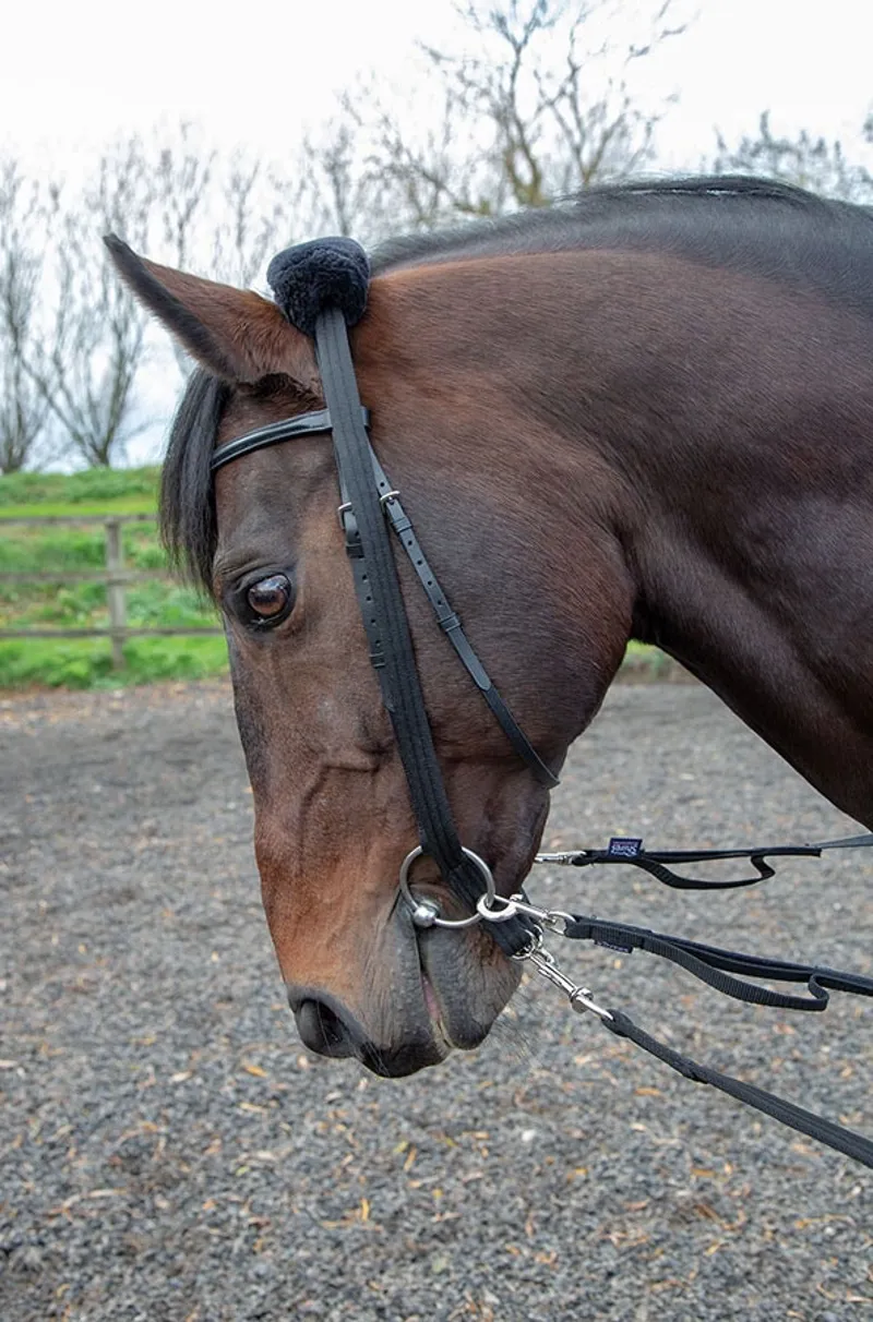 Lot Travail à Pied Cheval – Caveçon, Longe, Enrênement – Taille Cob