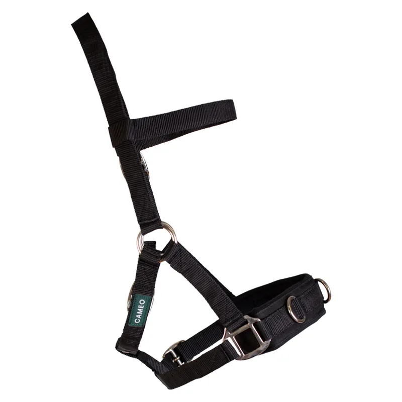 Cameo Lunging Cavesson in Black