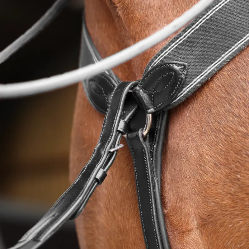 Velociti Lusso Three Point Elastic Breastplate in Black-4