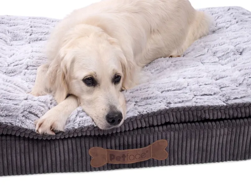 Petface Luxury Memory Foam Dog Bed in Grey-2