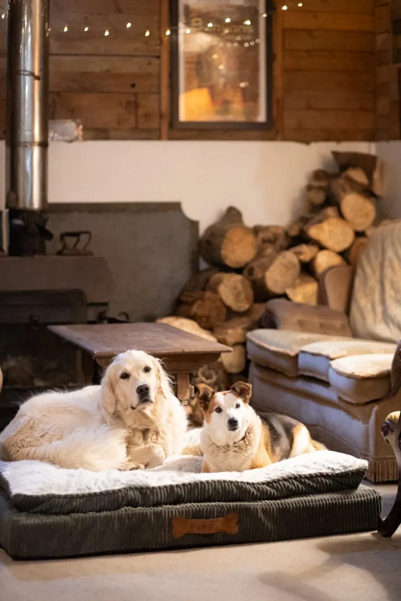 Petface Luxury Memory Foam Dog Bed in Grey-2