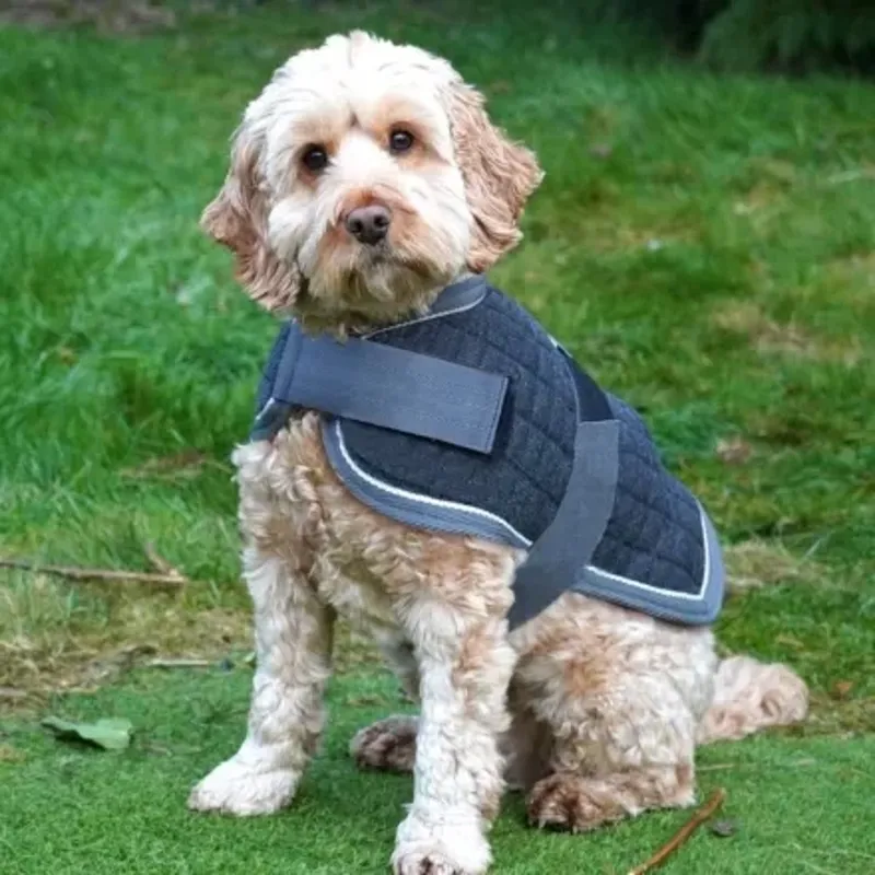 Mackey Thermo Dog Rug in Navy