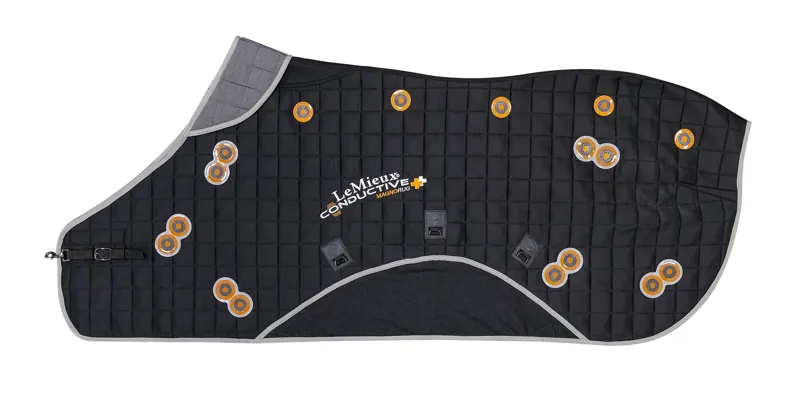 LeMieux Conductive Magno Rug -2
