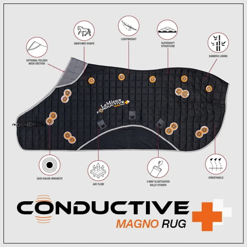 LeMieux Conductive Magno Rug -3