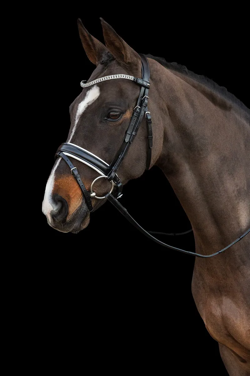 Schockemohle Malaga Flash Bridle in Black and White-3