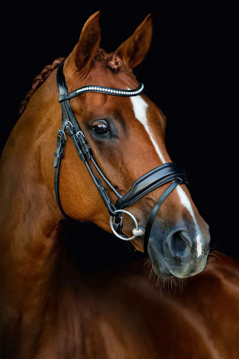 Schockemohle Malibu Anatomical Patent Dressage Bridle in Black-2