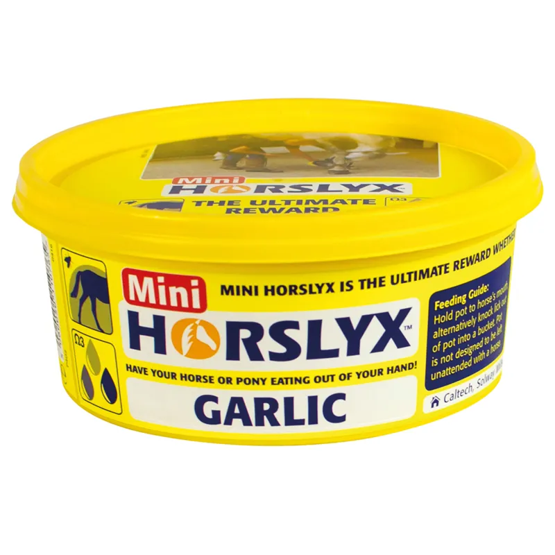Mini Horslyx 650gm-5