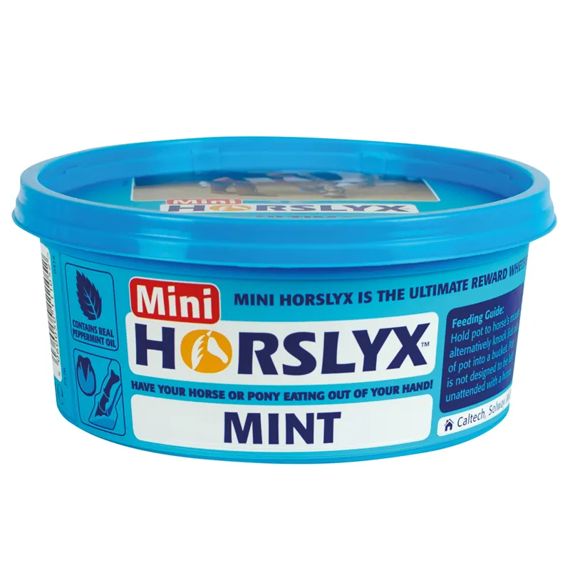 Mini Horslyx 650gm